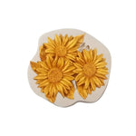 Daisy Mold