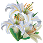 Lily Flower Decal