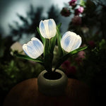 Tulip Desk Lamp