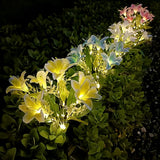 Lily Solar Lights