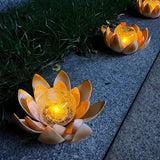 Lotus Light Lamp