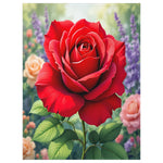 3D Rose Blanket