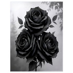 Black Rose Blanket