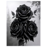 Black Rose Blanket