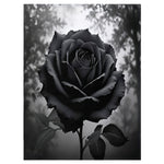 Black Rose Throw Blanket