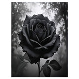 Black Rose Throw Blanket