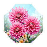 Chrysanthemum Umbrella