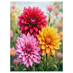 Dahlia Blanket
