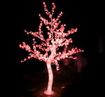 Cherry Tree Light Up