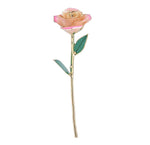 Golden Rose 24k