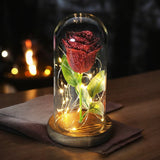 Beauty and Beast Rose Lamp