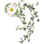 Garland Daisy