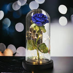 Rose with Lights in Glass