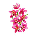 Orchid Wall Sticker