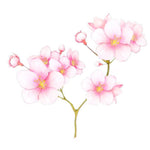 Japanese Cherry Blossom Wall Sticker