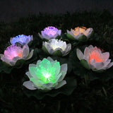 Lotus Pool Lights