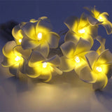 White Plumeria Light