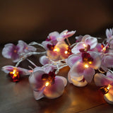 Orchid Light String