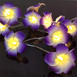 Purple Plumeria Light