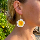 Hawaiian Plumeria Earrings in White