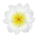 Plumeria Wall Decal