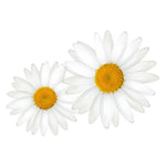 Daisy Flower Sticker