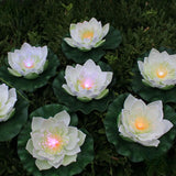 Lotus Pond Lights