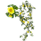 Daisy Garland Vine