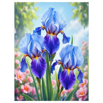 Iris Blanket