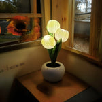 Tulip Flower Night Light