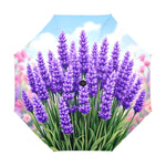 Lavender Umbrella