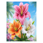 Lily Blanket