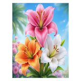 Lily Blanket