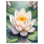 Lotus Blanket