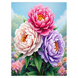 Peony Blanket