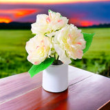 Peony Lamp on Table