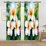 Plumeria Curtains Home Decor