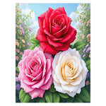 Rose Blanket