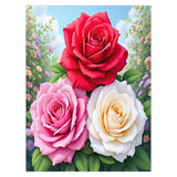 Rose Blanket