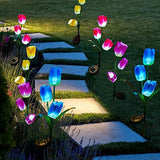 Solar Tulip Garden Lights