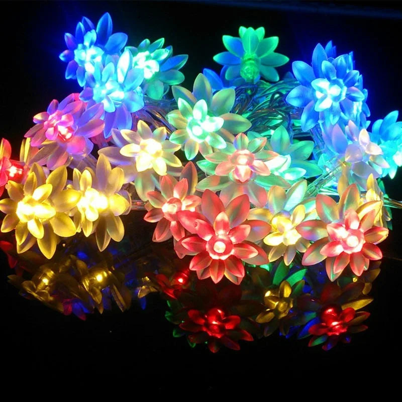 Lotus String Lights & Florista Flower