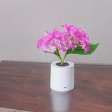 Pink Hydrangea Lamp