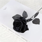 Black Silk Rose