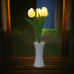 Tulip Light Night