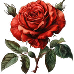 Red Rose Sticker