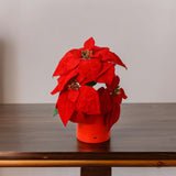 Poinsettia Lamp Bulbs