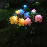 Peony Lights