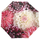 Floral Umbrella