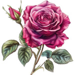 Pink Rose Sticker