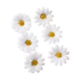 White Daisy Hair Clip